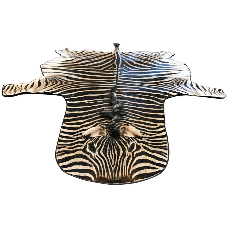African zebra skin rug or wall hanging at 1stdibs