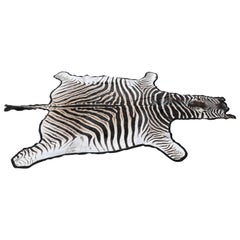 Fine Burchell Zebra Rug