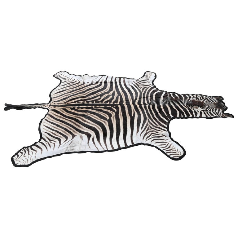 Fine Burchell Zebra Rug at 1stDibs