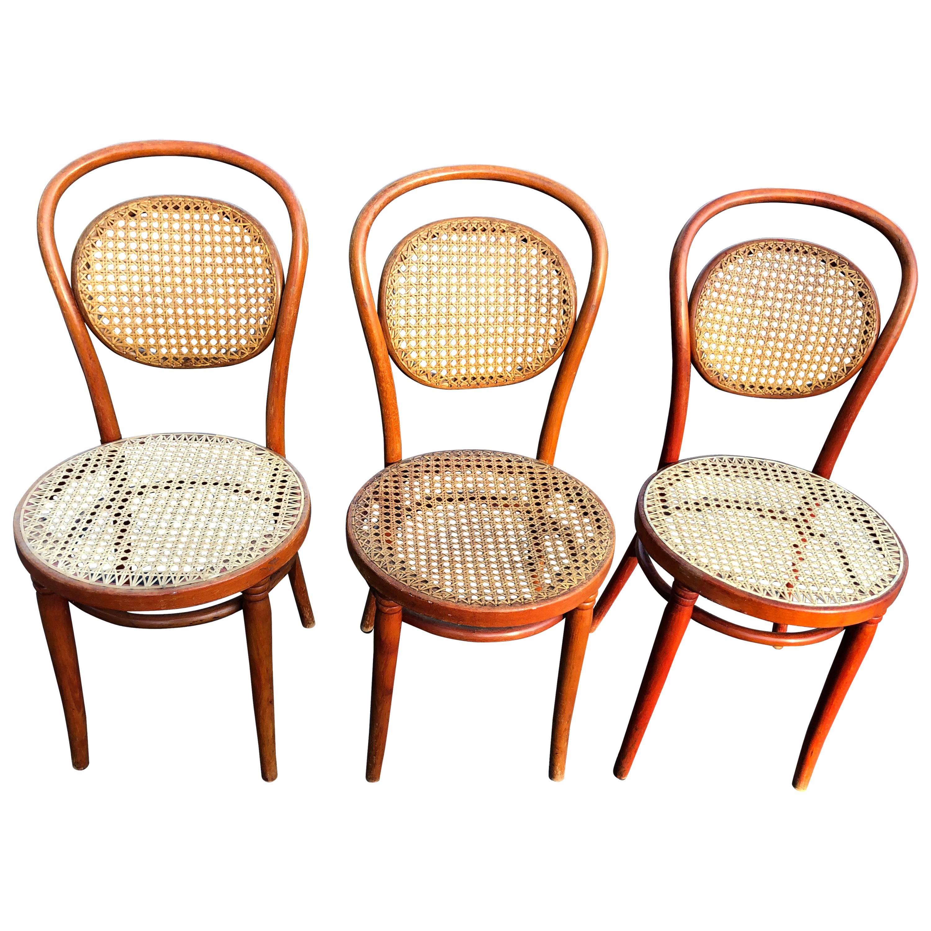 Set of Three Vintage Bentwood Thonet Style Chairs