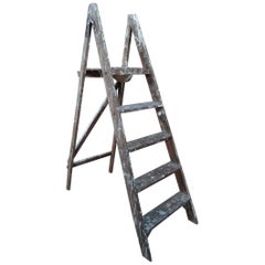 1900s French Vintage Fruit Picking Painting Ladder Library Ladder /Shop Display