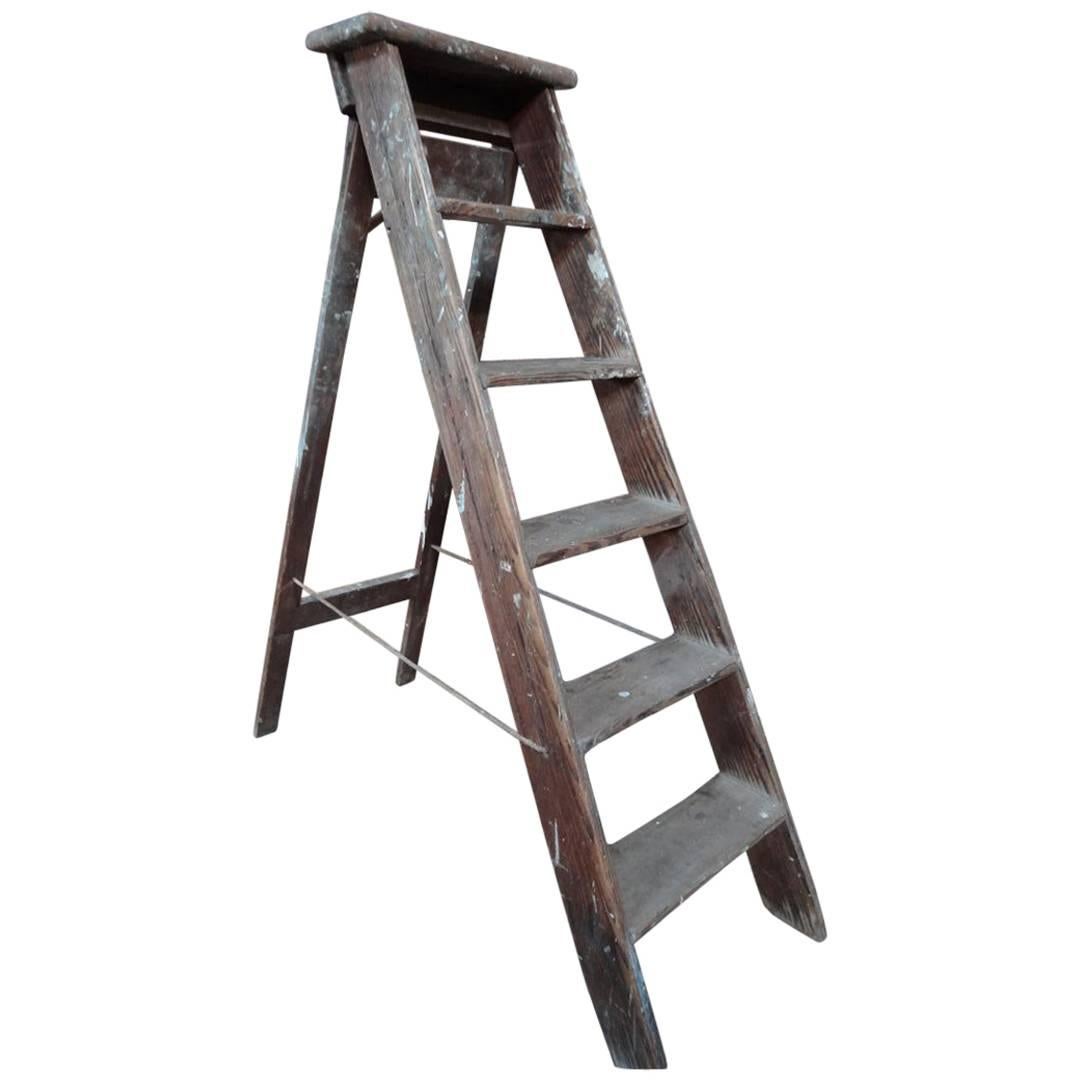 1900s French Vintage Fruit Picking Painting Ladder Library Ladder /Shop Display