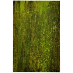 "Pittura "Foresta pluviale