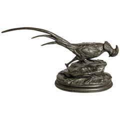 Antique French Bronze Pheasant Signed "Arcon", circa 1910