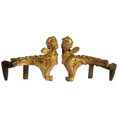 Pair of Andirons in Gilded Bronze and Iron, France, 19th Century 