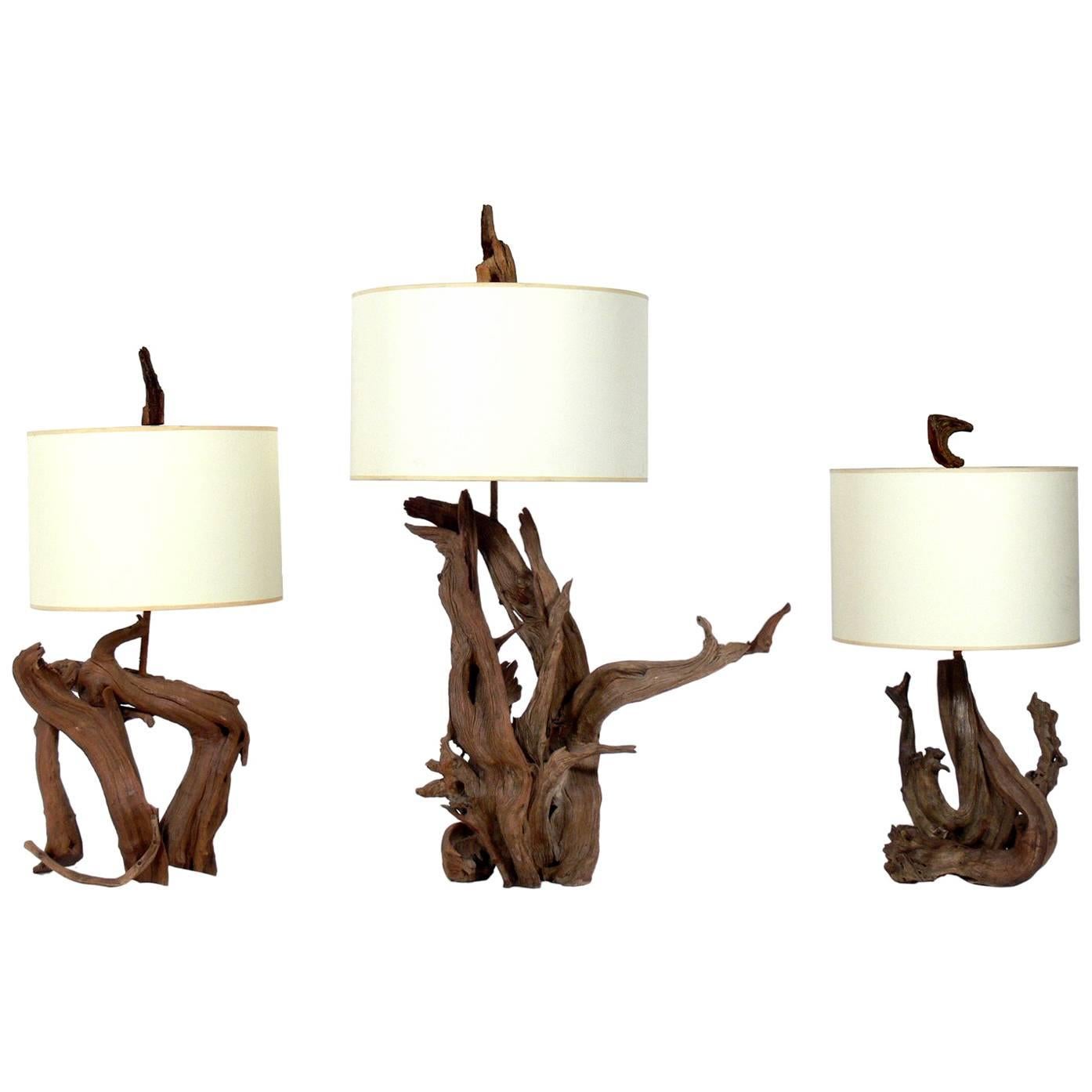 Selection of Sculptural Driftwood Lamps For Sale