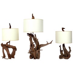Selection of Sculptural Driftwood Lamps