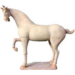 Modelo grande de cerámica pintada de principios de la Tang Dynasty de un caballo rampante, Testado TL