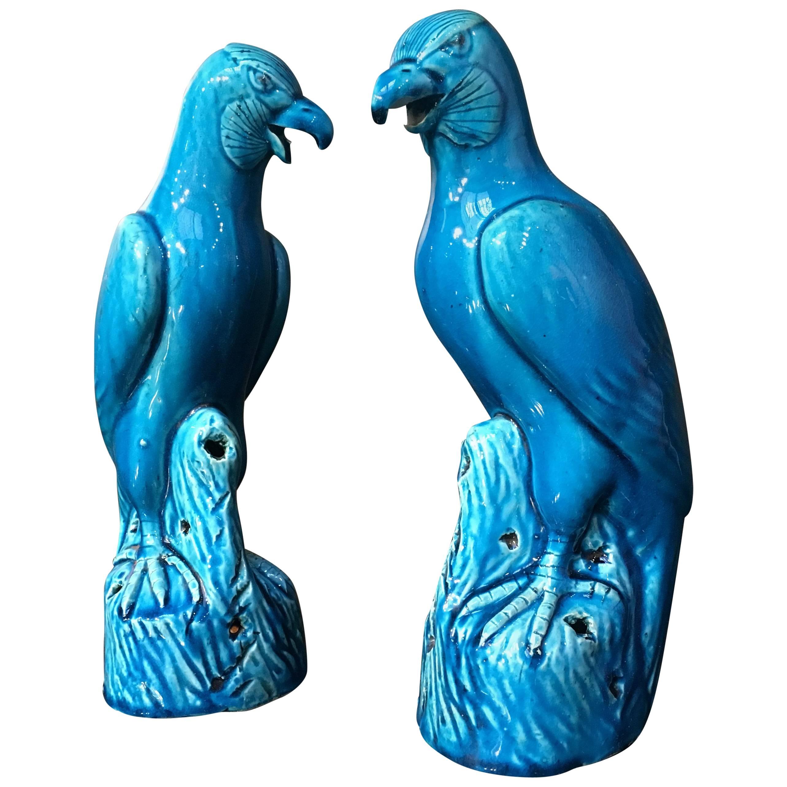 Pair of Chinese Export Turquoise Glazed Hawks, Late 19th Century, China 
