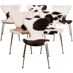 1950s, Cow Fur Leather Model 3107 Dining Chairs by Arne Jacobsen 
Fritz Hansen