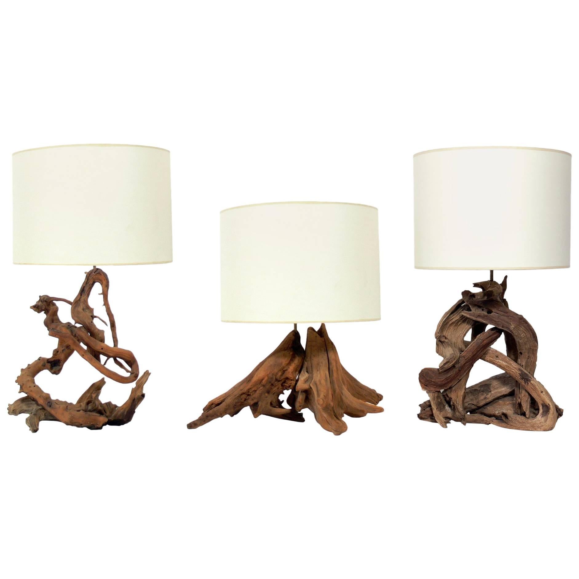 Selection of Sculptural Driftwood Lamps
