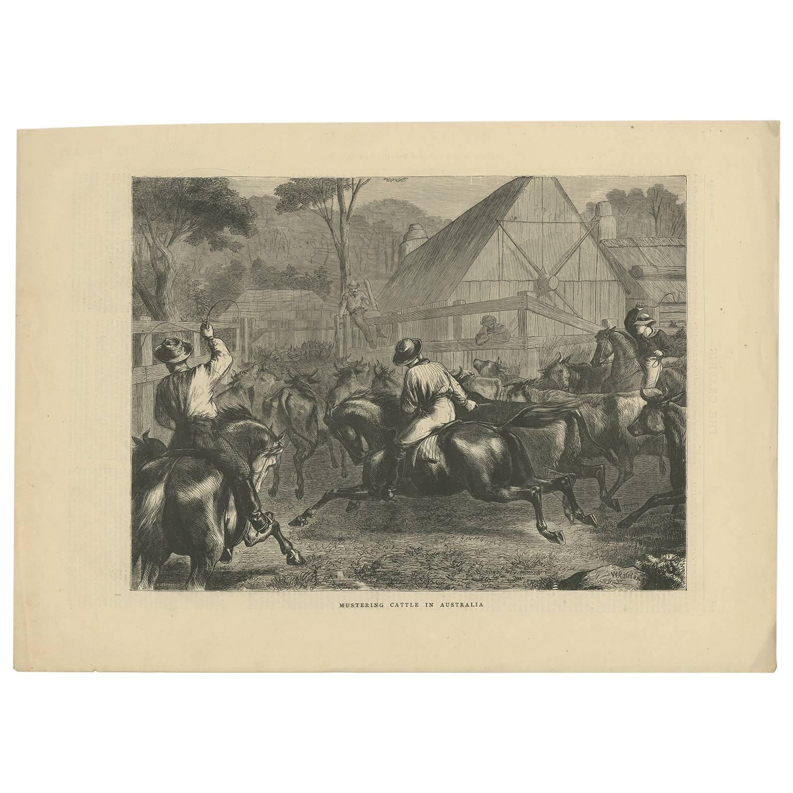 Antique Farm Print of Mustering Cattle in Australia, 1871 For Sale