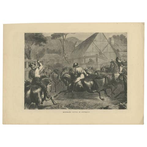 Antique Farm Print of Mustering Cattle in Australia, 1871