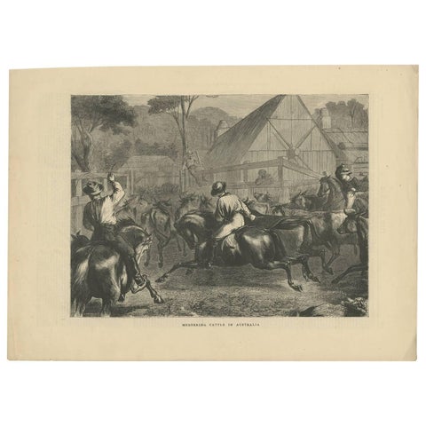 Antique Farm Print of Mustering Cattle in Australia, 1871