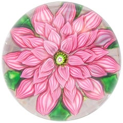 Saint Louis Pink Dahlia Paperweight