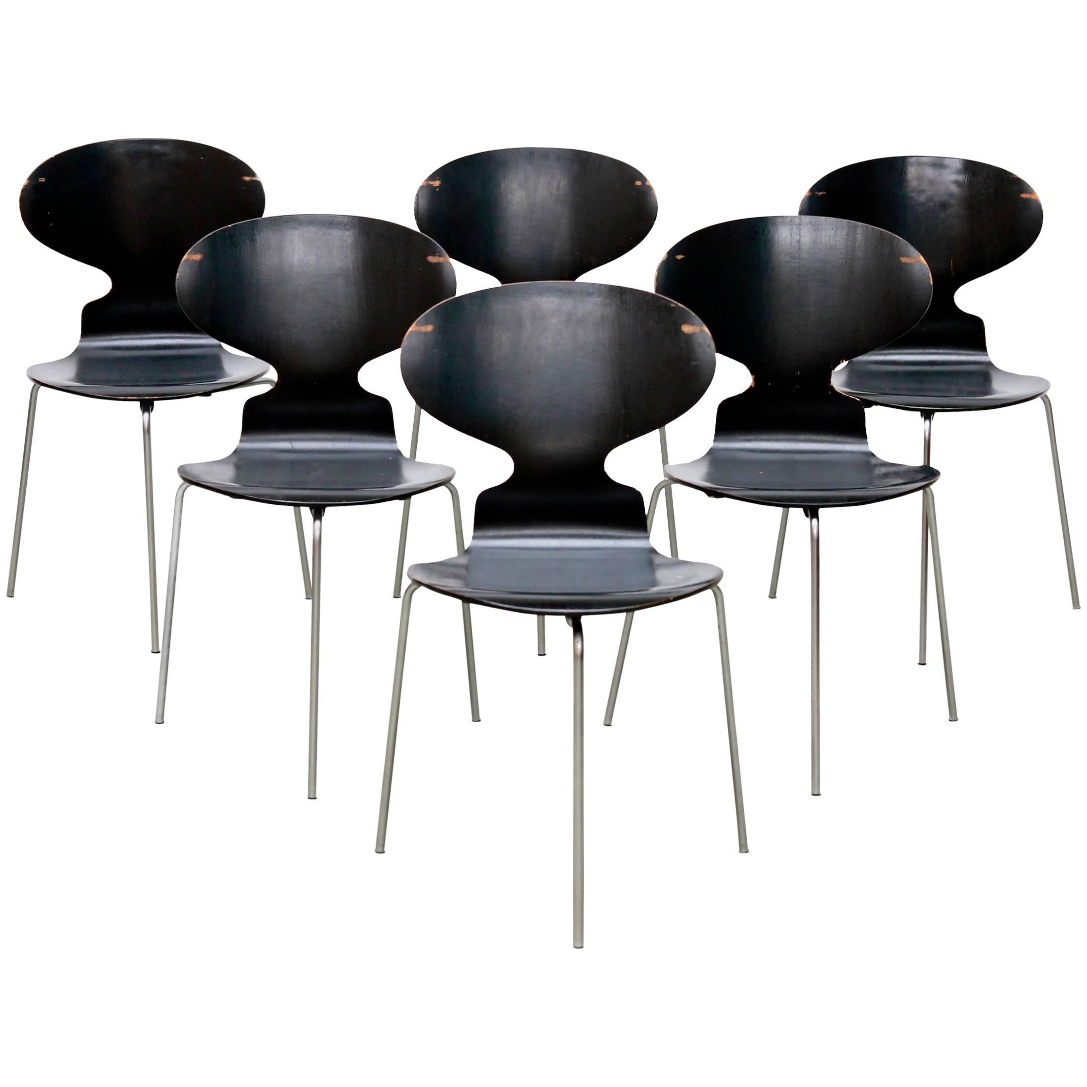 Model FH 3100 Ant Chairs by Arne Jacobsen for Fritz Hansen, 1969, Set of Six