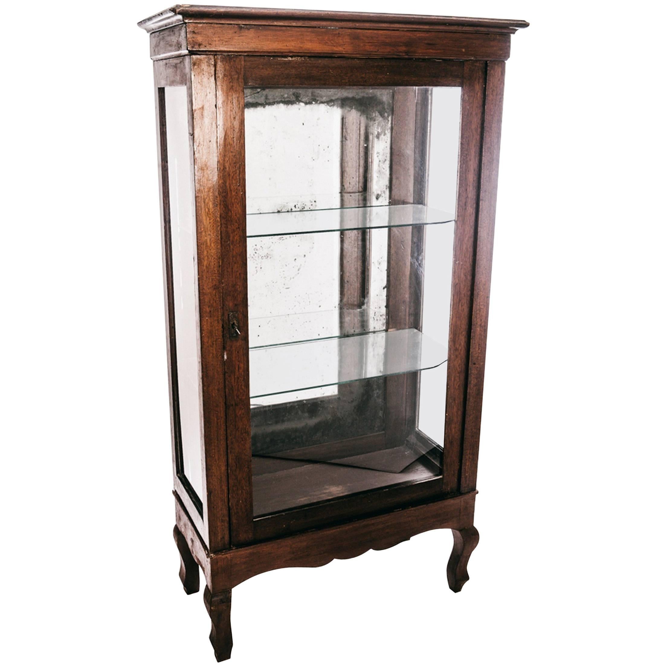 Swedish Antique Vitrine in Oak from, 1820s For Sale