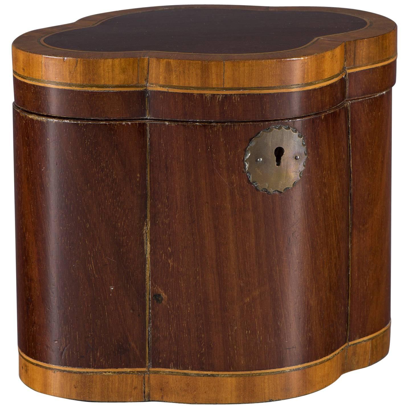 Grand Sized 19th Century Mahogany and Satinwood Inlaid Quatrefoil Tea Caddy