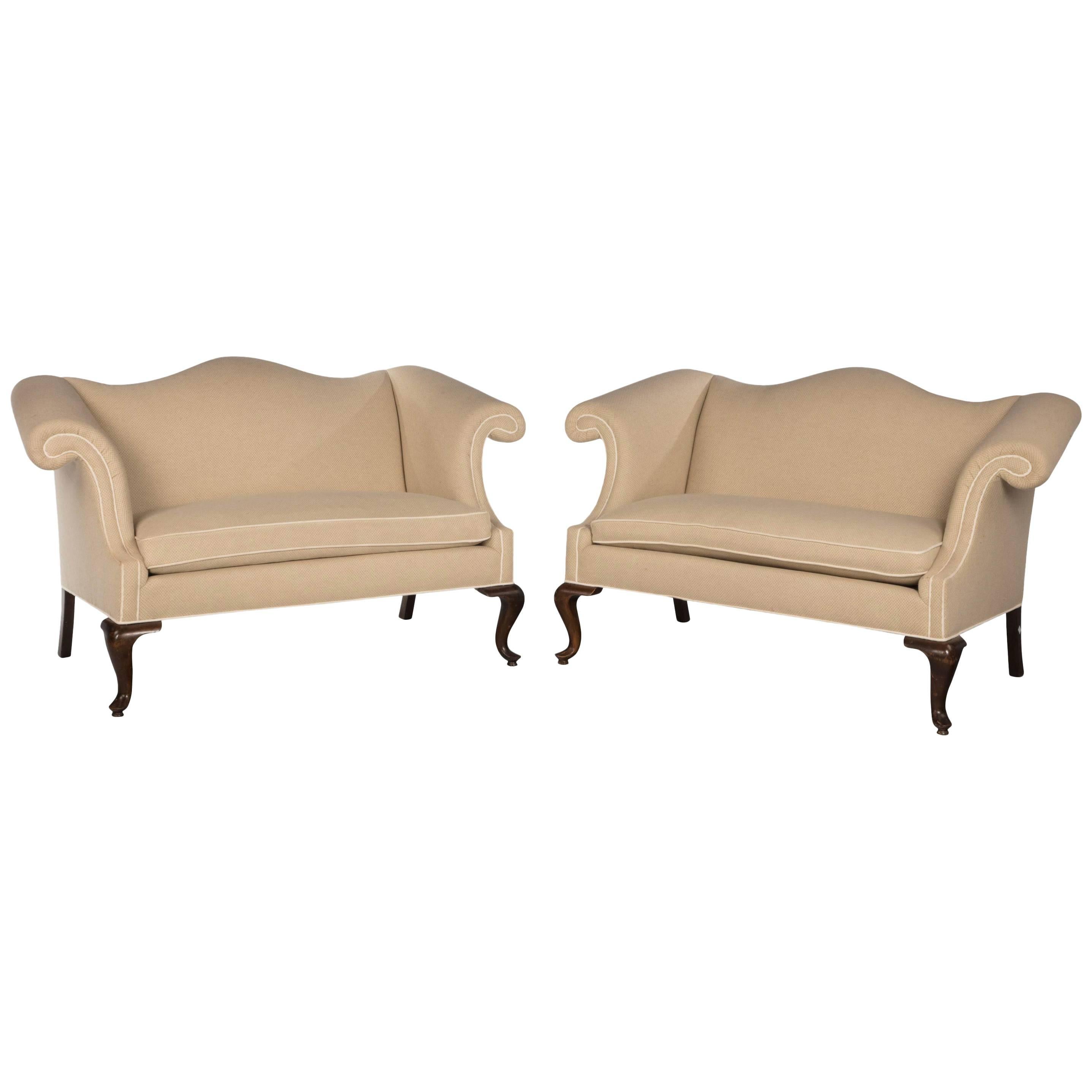 Pair of Early 20th Century Camelback Sofas of Small Proportions