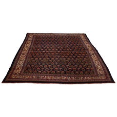 Antique Tulip Design Bidjar Rug