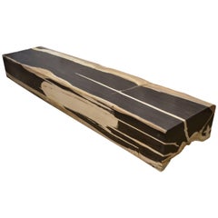 Andrianna Shamaris Super Smooth Petrified Wood Log Bench aus versteinertem Holz