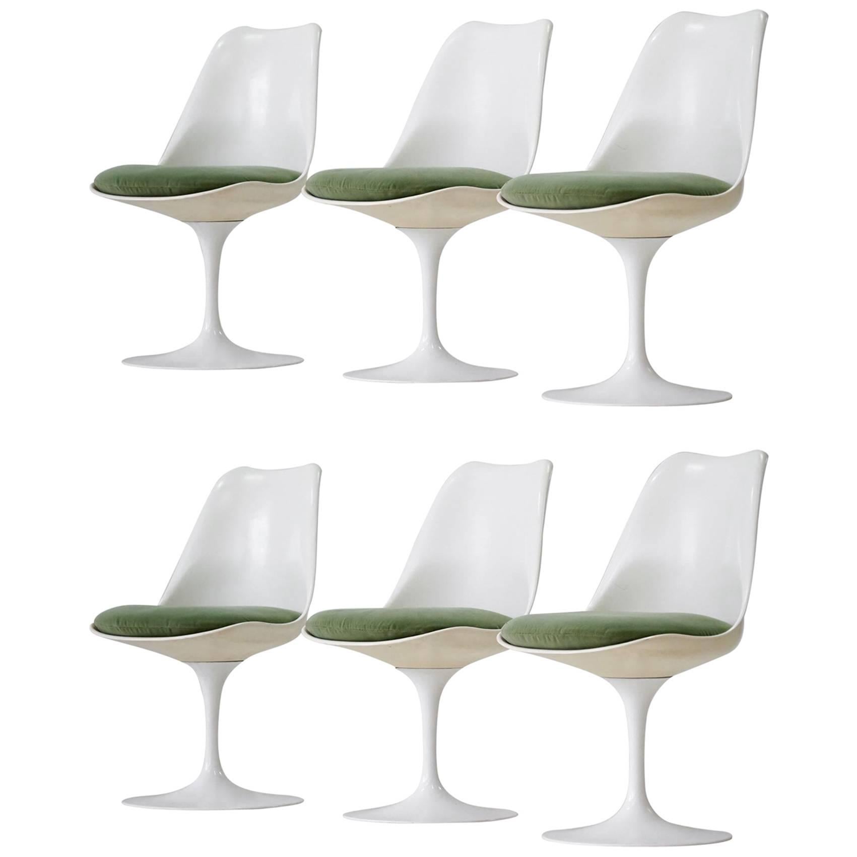 Set of Six Dining Tulip Chair Eero Saarinen Knoll International Swivelling