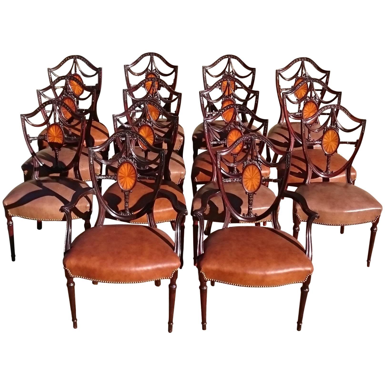 Large Set of 14 Edwardian Period Hepplewhite Mahogany Antique Dining Chairs