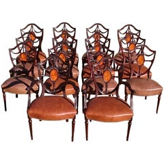 Large Set of 14 Edwardian Period Hepplewhite Mahogany Antique Dining Chairs