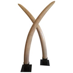 Super Dramatic Pair of Faux Elephant Tusks Sculptures