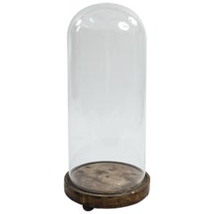 Antique 19th Century Glass Display Dome