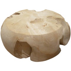 Andrianna Shamaris Bleached Teak Wood Root Coffee Table
