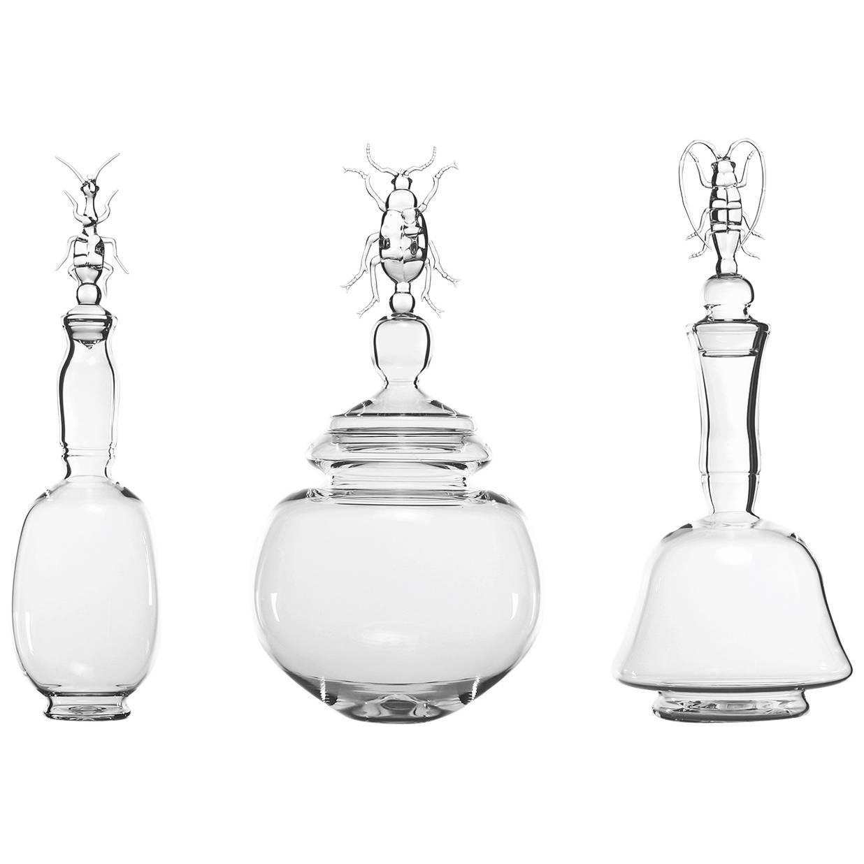 Inspired by the shape of the Colliuris Pensylvanica, or ground beetle, this exquisite bottle with lid is part of a limited edition of only 29 pieces, all handcrafted of borosilicate glass. The elongated body and narrow mouth of the piece is topped