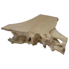 Andrianna Shamaris St. Barts Bleached Teakwood Coffee Table