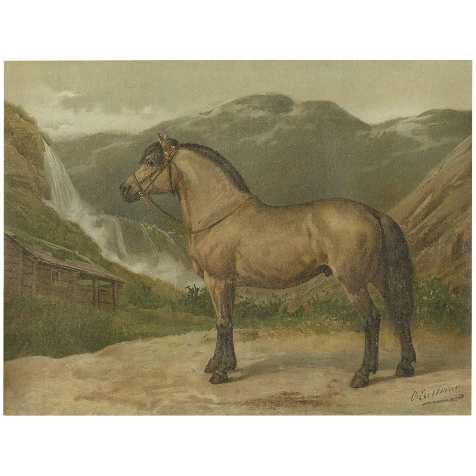 Antique Print of the Norwegian Horse by O. Eerelman, 1898