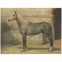 Antique Print of the Algerian Horse by O. Eerelman, 1898