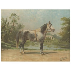 Antique Print of the Sandelwood Horse by O. Eerelman, 1898