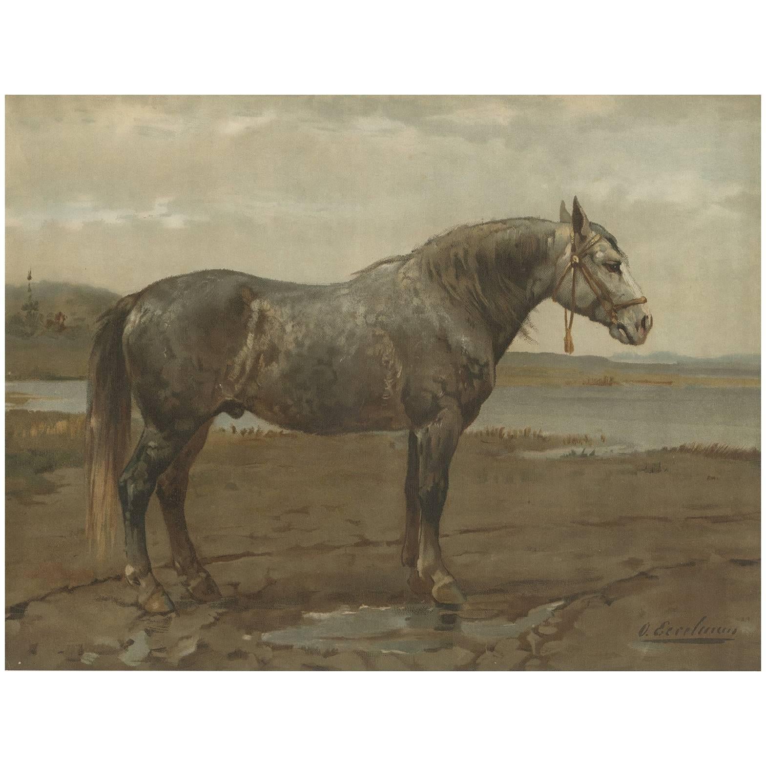 Antique Print of the Russian Horse by O. Eerelman, 1898 For Sale