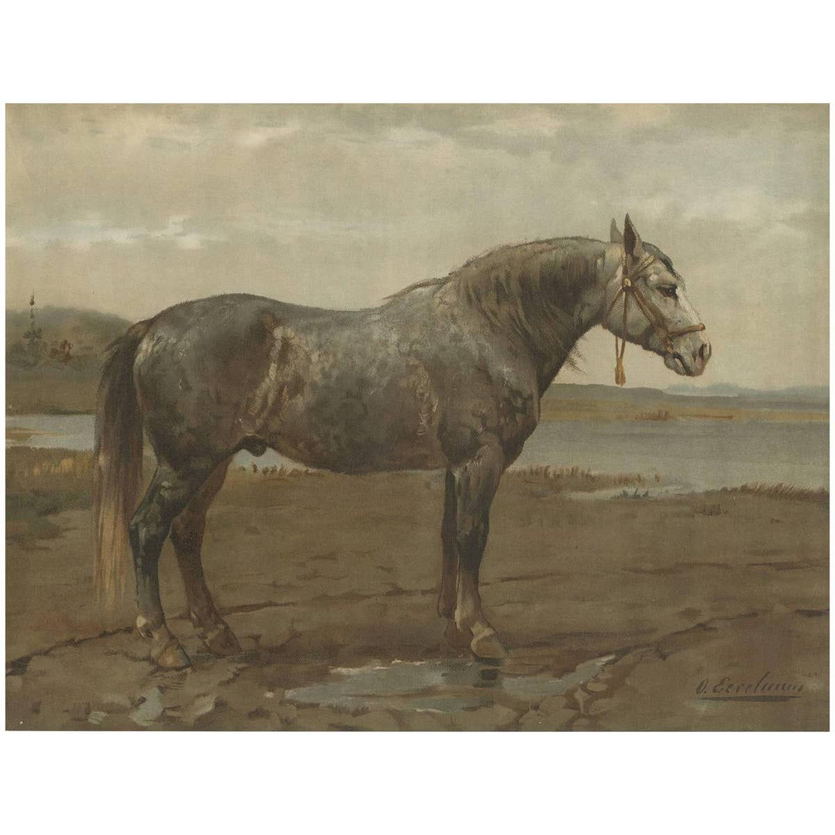 Antique Print of the Russian Horse by O. Eerelman, 1898