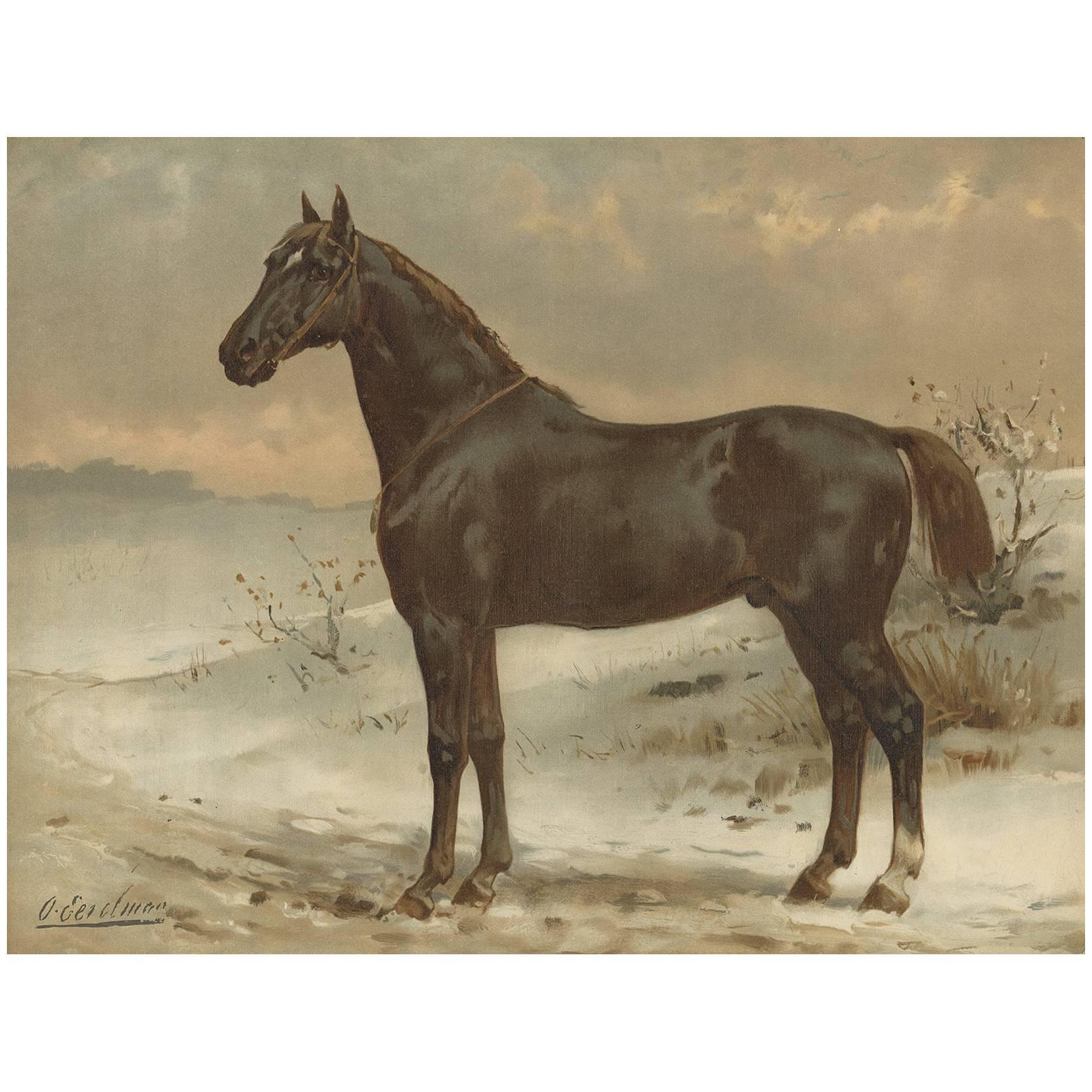 Antique Print of the Russian Half-Blood Horse by O. Eerelman, 1898