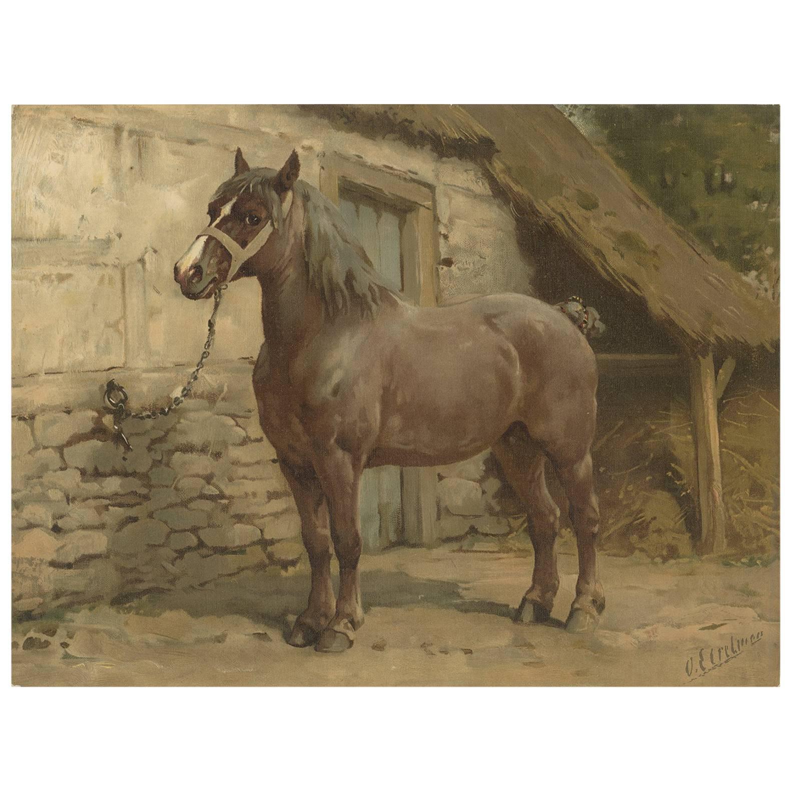 Antique Print of the Ardenner or Ardainnes Horse by O. Eerelman, 1898 For Sale