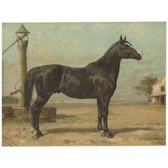 Antique Print of the Hungarian Horse by O. Eerelman, 1898
