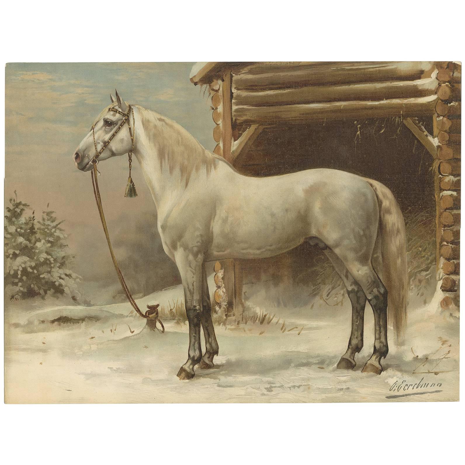 Antique Print of a Russian Trotter by O. Eerelman, 1898 For Sale