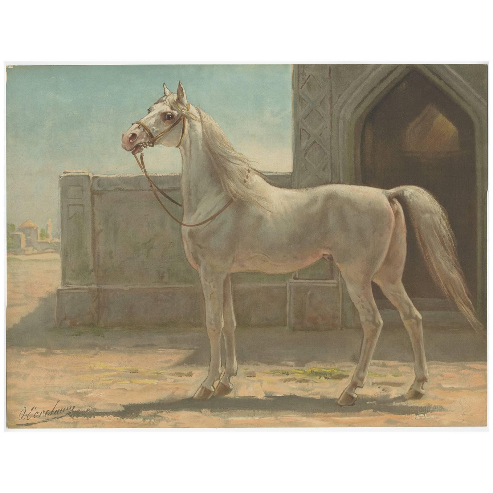 Antique Print of a Persian Horse by O. Eerelman, 1898 For Sale