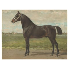 Antique Print of the Groninger Horse by O. Eerelman, 1898