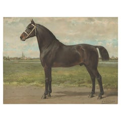 Grabado antiguo del Caballo Groninger por O. Eerelman, 1898
