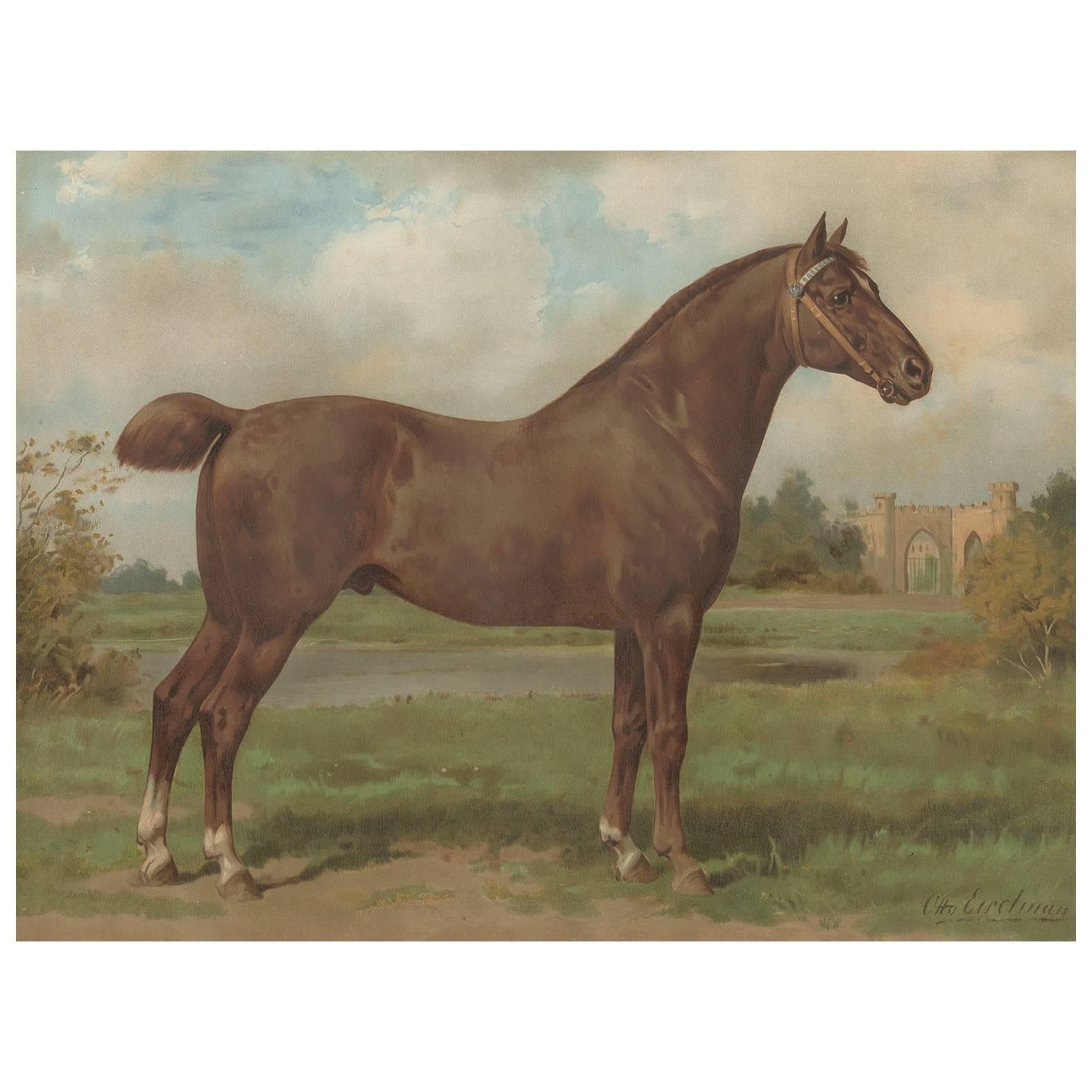 Antique Print of the Hackney Horse by O. Eerelman, 1898 For Sale