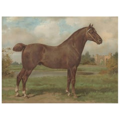 Antiker Druck des Hackney-Pferdes von O. Eerelman, 1898