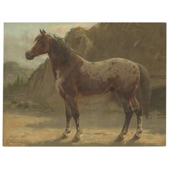 Vintage Print of the Pinzgauer Horse by O. Eerelman, 1898