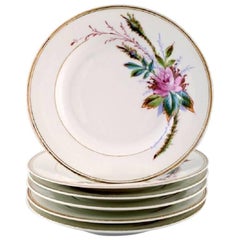 6 antique Royal Copenhagen plates hand decorated with flowers. App. 1850s