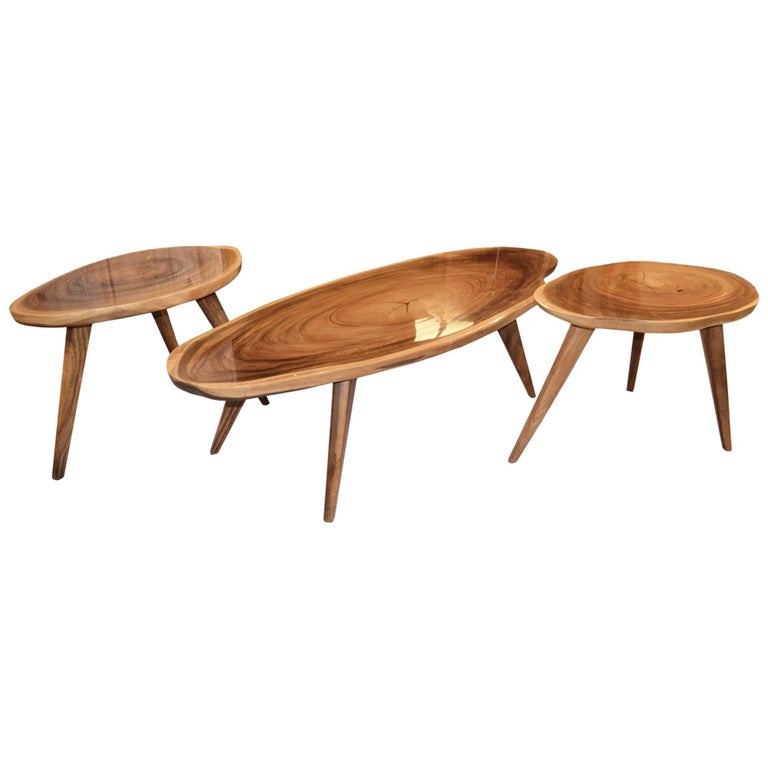 MidCentury Coffee and Side Tables For Sale at 1stDibs